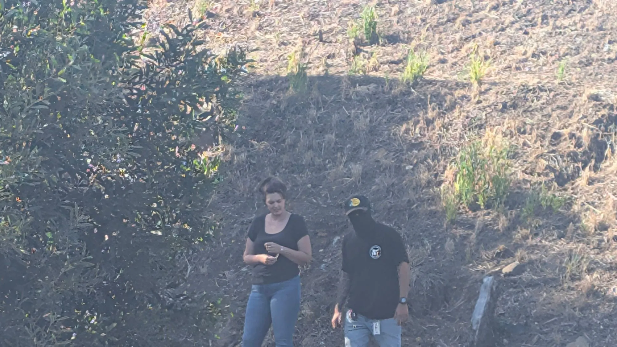 Two people walking down the cleared freeway slope in Vallejo